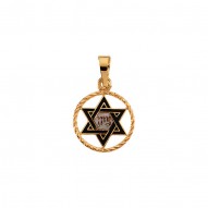 Star Of David Pendant -50030781