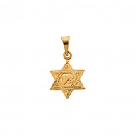 Star Of David Pendant -50030900