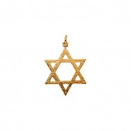 Star Of David Pendant -50030985