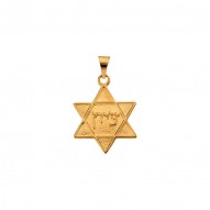 Star Of David Pendant -50031703