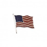 American Flag Lapel Pin -50029066